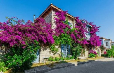 adnan menderes havalimanı transferi