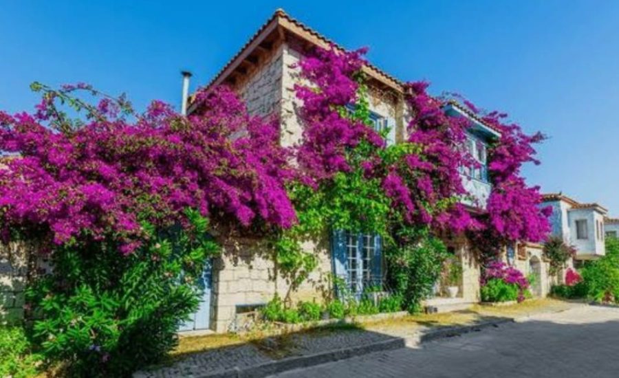 adnan menderes havalimanı transferi