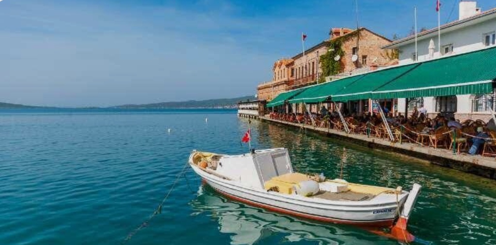 Ayvalık’tan İzmir’e ya da Adnan Menderes Havalimanı’na ulaşmak artık çok kolay!
Güvenli ve konforlu transfer için bizimle iletişime geçin.